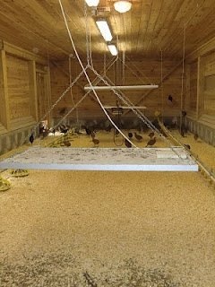 IMG_5868