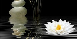 Zen Symbols