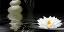 Zen Symbols