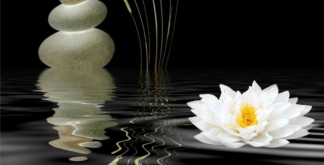 Zen Symbols