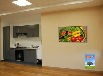 SUNNYHEAT individual picture @ the office in Challans