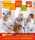 SUNNYHEAT NL WEB PORTRAIT
